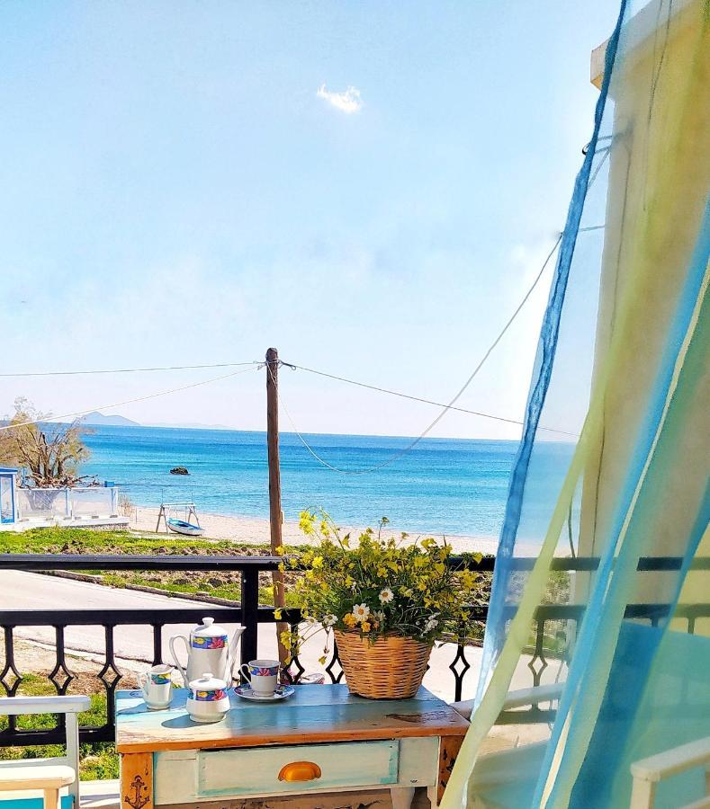Socrates Sea View Apartment Kampos Marathokampou Ngoại thất bức ảnh