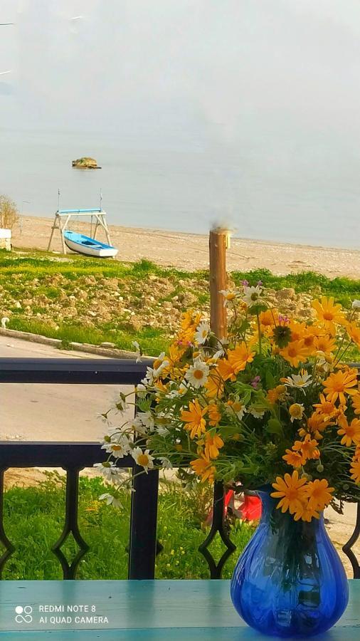 Socrates Sea View Apartment Kampos Marathokampou Ngoại thất bức ảnh